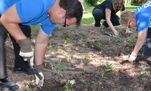 Volunteers plant native plants into newly constructed rain garden